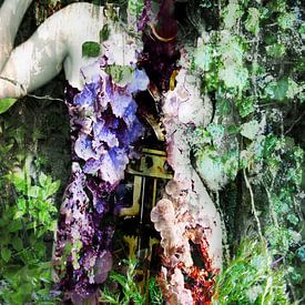 cycle of nature by Fotokompost von Lichtgestalt