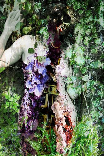 Kreislauf der Natur von Fotokompost von Lichtgestalt