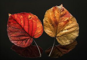 Laubblätter in Herbstfarben