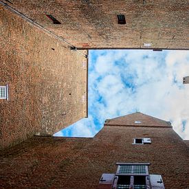 Slot Loevestein Poederoijen van Blond Beeld