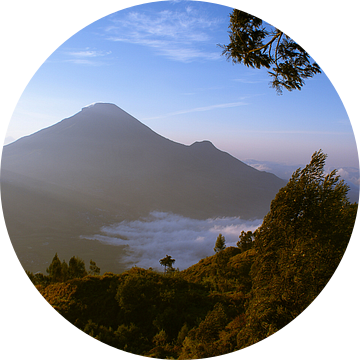 Dieng Plateau, Java van Sven Wildschut