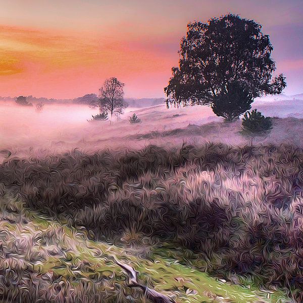 Natuur Veluwe Wolfheze by Juliën van de Hoef