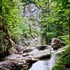 Randonnée dans l'Allgäu sur Roith Fotografie