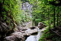 Wandelen in de Allgäu
