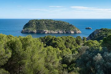 Insel an der Mittelmeerküste, Isla del Portitxol