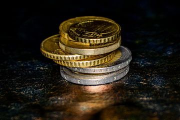 Financieel : Europese munt van Michael Nägele