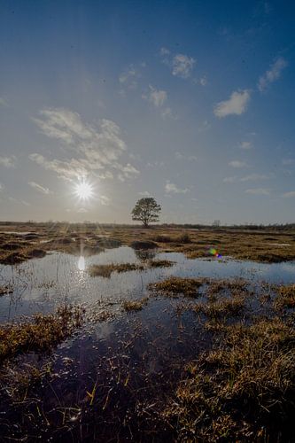 Een verborgen stukje natuur