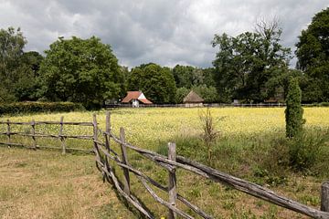 picturesque photo of landscape with yellow meadow by W J Kok