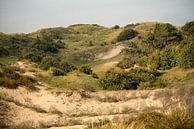 Die heerlijke duinen.1 van Alie Ekkelenkamp thumbnail