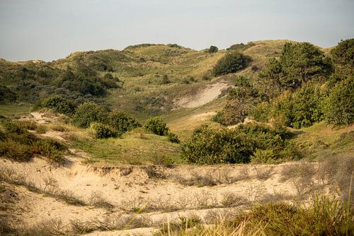 Die heerlijke duinen.1