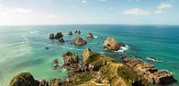 Nugget Point New Zealand by Anne Vermeer thumbnail