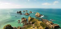 Nugget Point Neuseeland