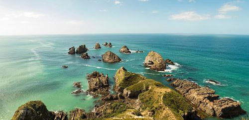 Nugget Point Neuseeland von Anne Vermeer