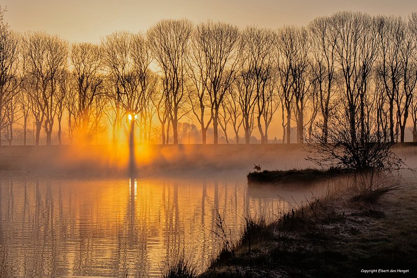 Zonopkomst in de Alblasserwaard van Eibert den Hengst