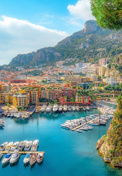 Monaco by Hello Pompoyo