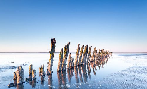 Spiegelung der Poller auf dem Wattenmeer bei Moddergat