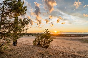 Zonsondergang Loonse en drunense duinen van Dave Verstappen