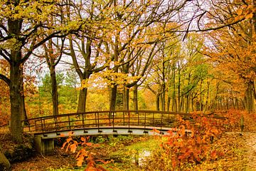 Herbstbrücke von Jimmy Verwimp Photography
