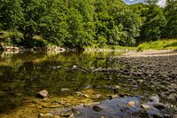 Enjoying the shade along the Ourthe