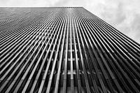 Looking Up