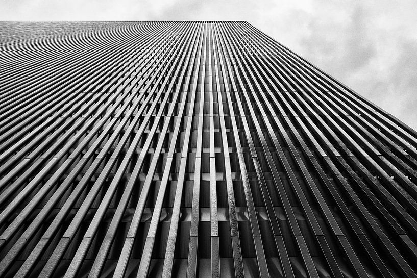 Looking Up von Götz Gringmuth-Dallmer Photography