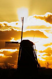 De Herder by Koolpics