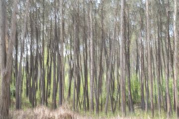 Iets met bomen en bos van Captured by Herman