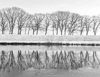 Sneeuw
