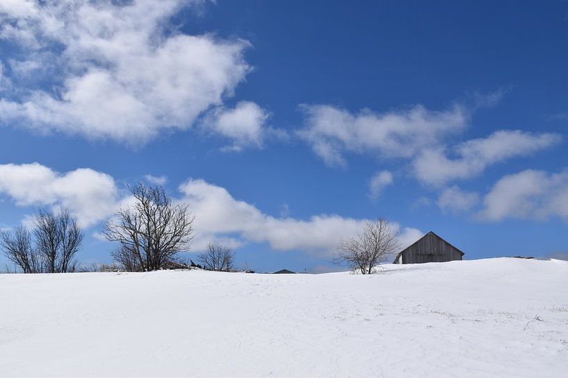 A farm in spring by Claude Laprise