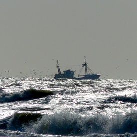 Meeuwen achter vissersboot van Angelique Roelofs