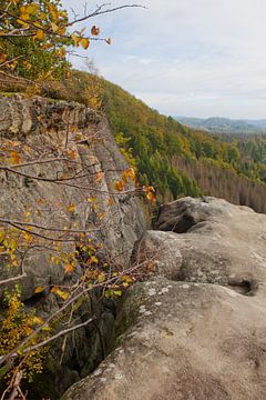 Saksisch Zwitserland (Elbezandsteengebergte) van t.ART