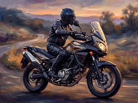 Mit der Suzuki V-Strom 650 durch die Golden Hills