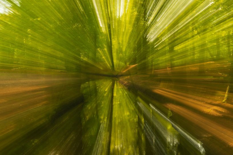 Concept abstrait de nature représentant un ruisseau dans une forêt verte et lumineuse, pendant la jo par Sjoerd van der Wal Photographie