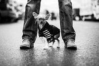 Tough guy with small dog