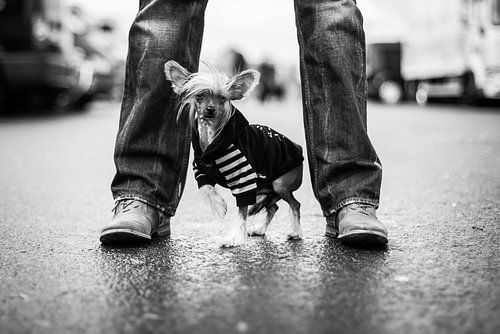 Stoere man met kleine hond van Mirjam van den Berg