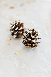 Goldene Weihnachtsakzente von Nienke van Denderen