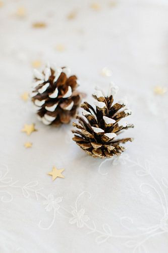 Gouden kerstdetails