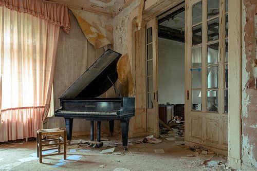 Wing in an abandoned villa