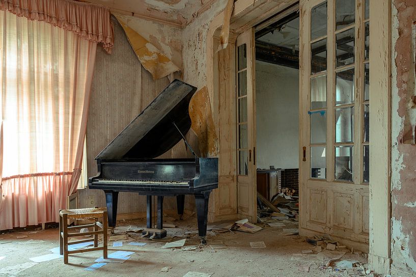 Flügel in einer verlassenen Villa von Tim Vlielander
