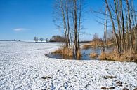 Merenkust in de winter van Achim Prill thumbnail