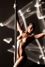 Oil & Shadows – Embracing the Pole by Ivy Shade English