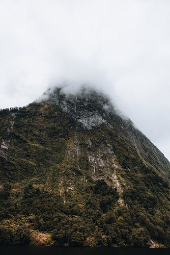 Doubtful Sound : une beauté à découvrir