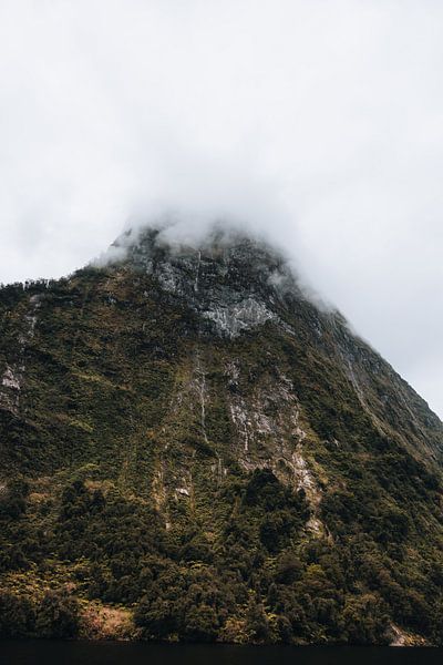 Doubtful Sound: undiscovered beauty by Ken Tempelers