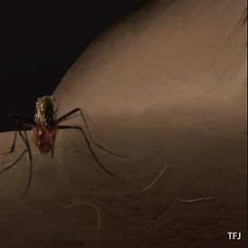 mosquito von Theunis Kuipers