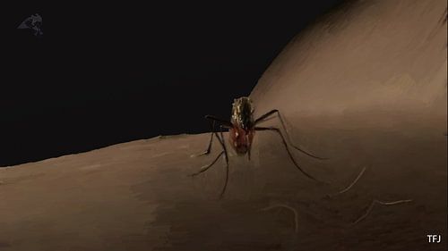 mosquito