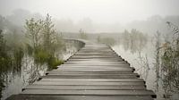 Calmness by Michiel kijkt! thumbnail