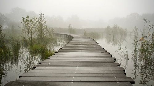 Calme sur Michiel kijkt!