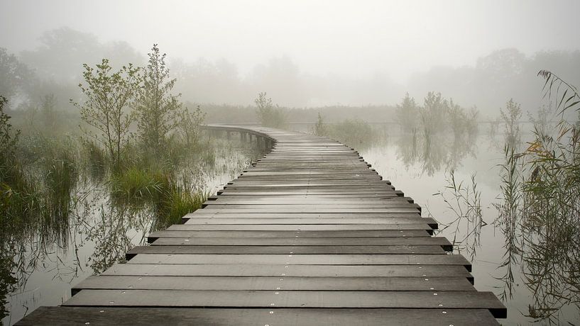 Calmness by Michiel kijkt!