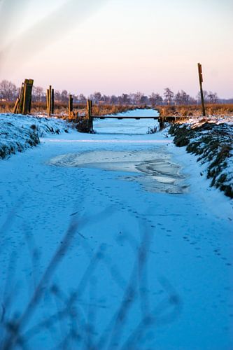 Lever du soleil sur Andrea Ooms