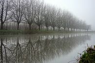 Winterse reflectie in de Kromme Rijn van Pieter Heymeijer thumbnail